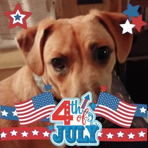 Meet your Posher, Geri